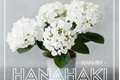 História: Hanahaki 0.1 - NamJin