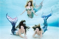 História: Malibu Mermaids