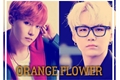 História: Orange Flower