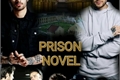 História: Prison Novel