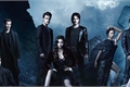 História: The Vampire Diaries e The Originals - Hentai