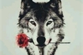 História: The Wolf