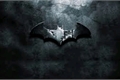 História: Batman: Ano Um