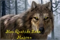 História: Meu Querido Lobo: Maicon