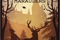 História: The Marauders and the Golden Years
