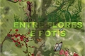 História: Entre Flores e Pot&#237;s