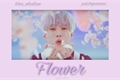História: Flower 《ayno+lou》
