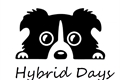 História: Hybrid Days - Interativa