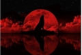 História: Lua e Sangue