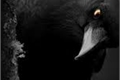 História: O corvo majestoso de Arckalag.