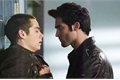 História: Where Do We Go From Here? - Sterek Version