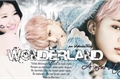 História: Wonderland: A new story