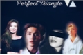 História: 《Perfect Triangle》- (Suho - Exo/Seulgi - Red Velvet/You)