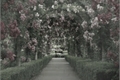 História: Um jardim de rosas mortas