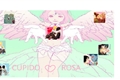 História: Cupido Rosa!