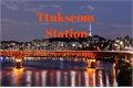 História: Ttukseom Station