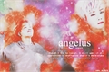 História: Angelus