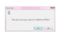 História: Are you sure want to delete all files?