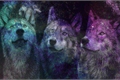 História: Dois lobos e um Coiote