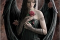 História: I love angel &#39;s rose
