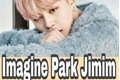 História: O amor da minha vida - Imagine Park Jimim