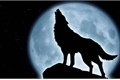História: Wolf Moon
