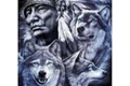 História: A verdadeira hist&#243;ria dos lobos