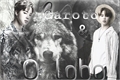 História: O garoto e o Lobo -Jikook