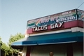 História: Tacos Gay