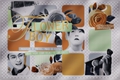 História: Flower Boy
