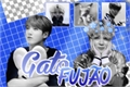 História: Gato Fuj&#227;o