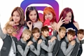 História: Instagram - BlackPink e BTS