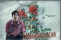 História: Mil Rosas Melanc&#243;licas