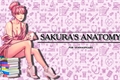 História: Sakura&#39;s Anatomy