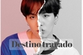 História: Destino Tra&#231;ado (Min yoongi(18)