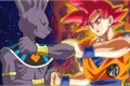 História: Goku o filho do S&#233;timo Universo
