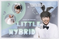 História: Little Hybrid (Imagine Jeongguk - BTS)