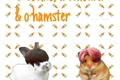 História: O coelho, a cenoura e o hamster - Vkookmin - Hiatus