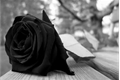 História: Rosas da morte