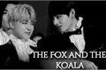 História: The Fox and the Koala.