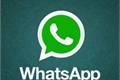 História: Whatsapp