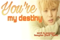 História: You&#39;re my destiny - Park Jimin