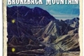 História: Brokeback Mountain - Destiel