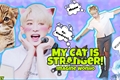 História: My cat is stranger! - Imagine Wonho. (REVIS&#195;O)