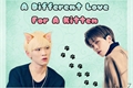 História: A Different Love For A Kitten - JongKey
