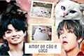 História: Amor de C&#227;o e Gato.(VKOOK)