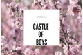 História: Castle of Boys