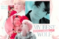 História: My Best Friend Wolf - Jikook