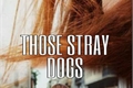 História: Those Stray Dogs