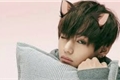 História: Vkook-Meu h&#237;brido gatinho